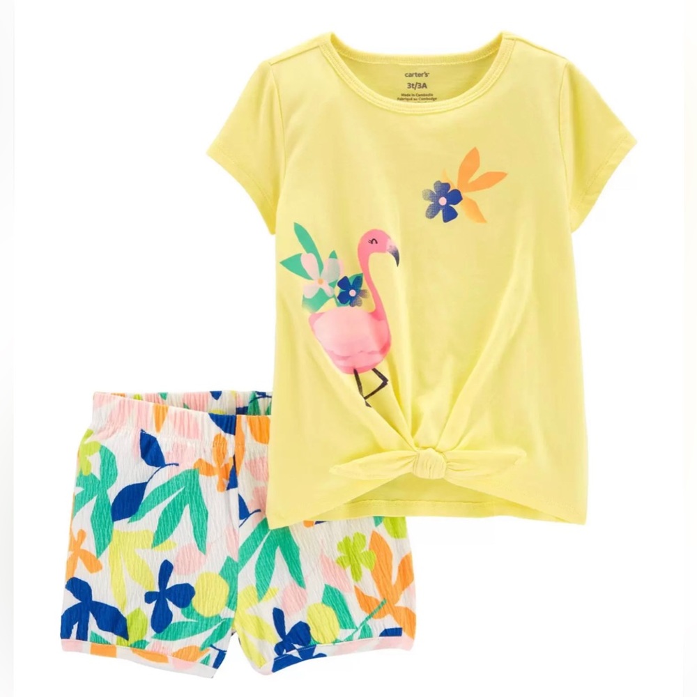 Toddler 2-Piece Flamingo Tee & Short Set SIZE 9M